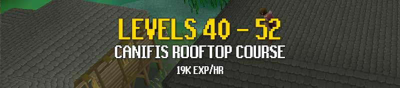 canifis rooftop course osrs agility guide