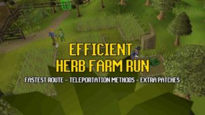 efficient herb farm run