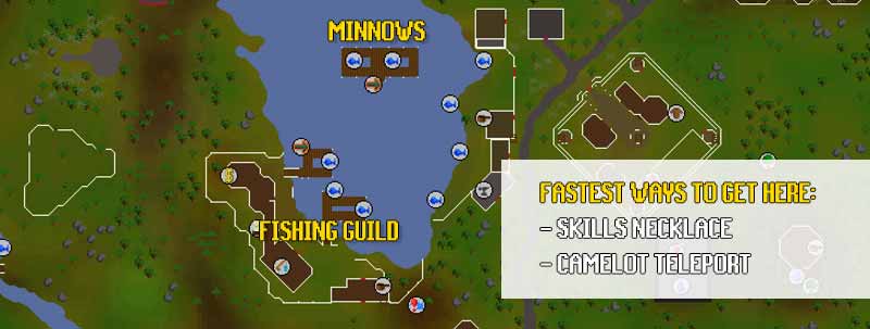 Where you can find the fishing guild in osrs