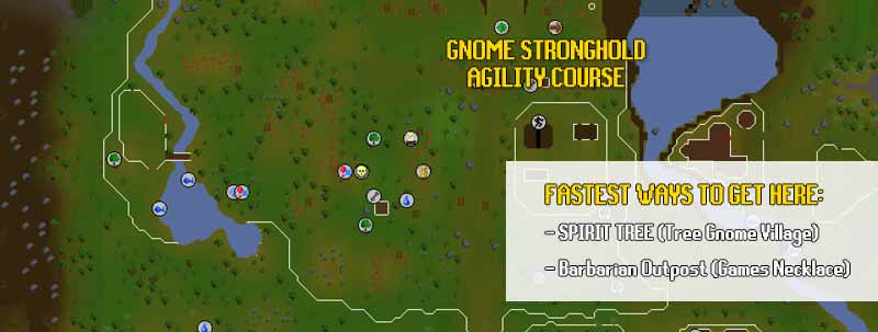 Tree Gnome Stronghold Agility Course