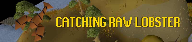 catching raw lobster is a great F2P fishing money making method in osrs. You can do this in karamja or the Corsair cove resource area. 
