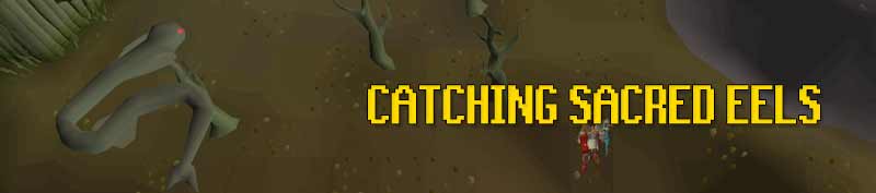 Catching sacred eels in Zul'andra is a good fishing money making method that is also pretty afkable. 72 cooking is required to be able to extract zulrah scales from the sacred eels. 