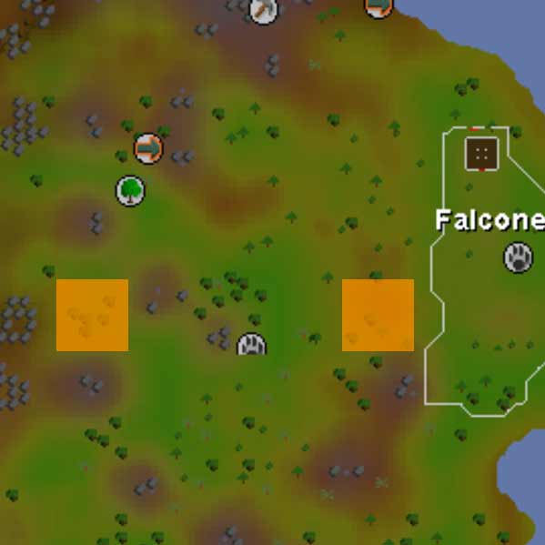 copper longtails location osrs