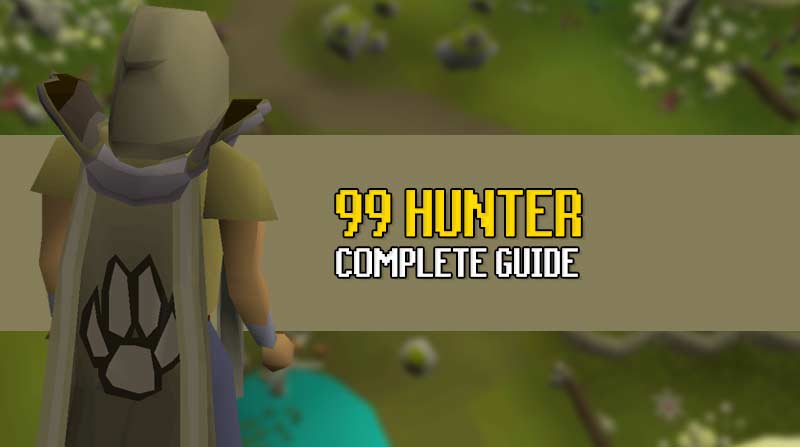 osrs hunter guide