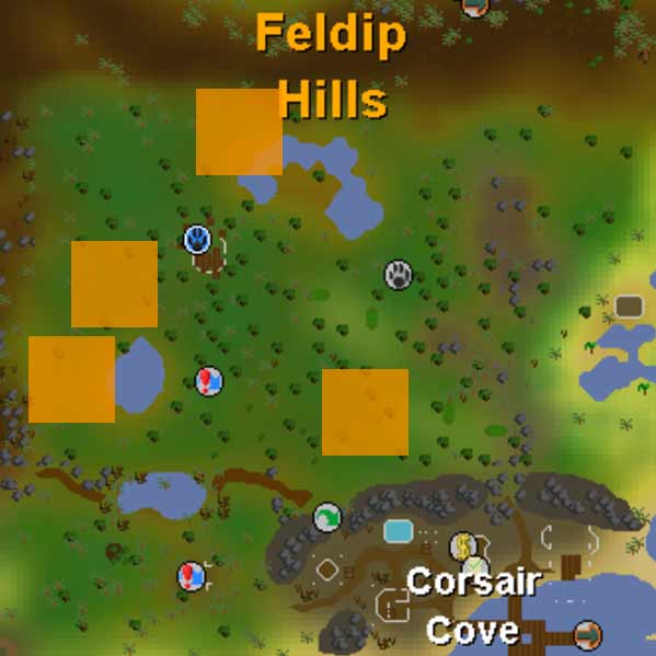 tropical wagtail location osrs