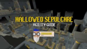hallowed sepulchre agility course