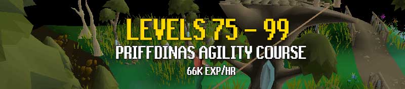 From levels 75 to 99 you can use the Priffdinas agility course.