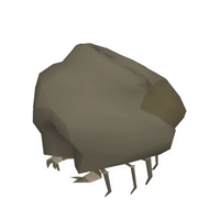 what are ammonite crabs osrs