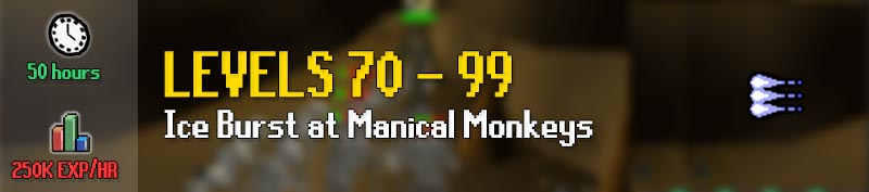 from levels 70 to 99 you can train magic through ice burst at the maniacal monkeys 