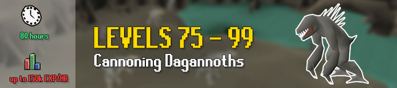 from levels 75 ranged you can cannon dagannoths for experience rates of up to 150k per hour