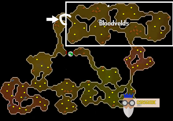 bloodvelds are located next to the entrance of the stronghold slayer cave