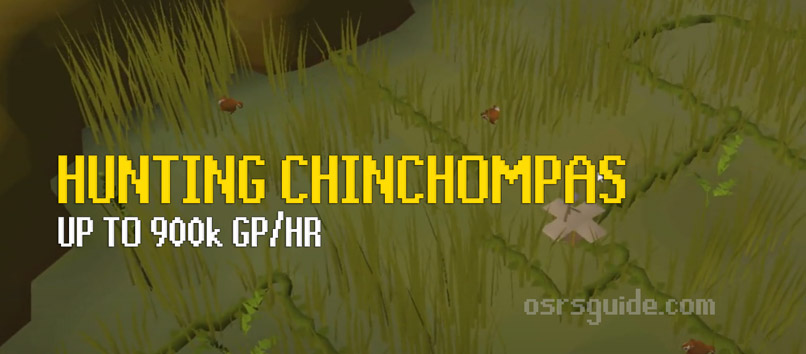 hunting chinchompas is a money making method for hunter