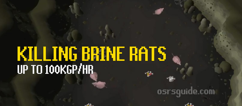 killing brine rats is a mid-level combat money making method for osrs