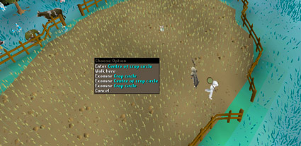 how to get to puro puro to make money catching implings