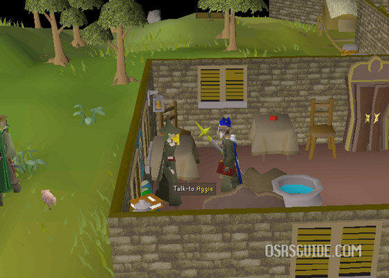 aggie is located in draynor village and she will make your dyes for you