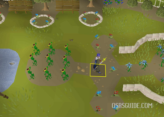 dig in the falador park to finish the quest