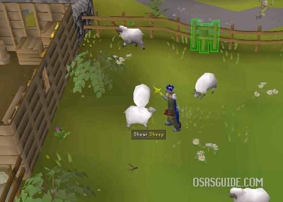 shear the sheep until you have 20 balls of wool