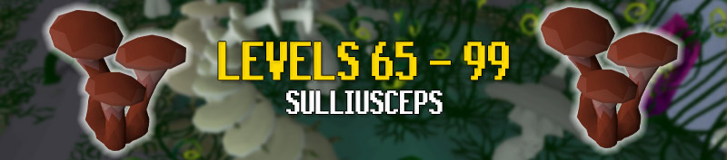 sulliusceps offer the fastest woodcutting experience in osrs