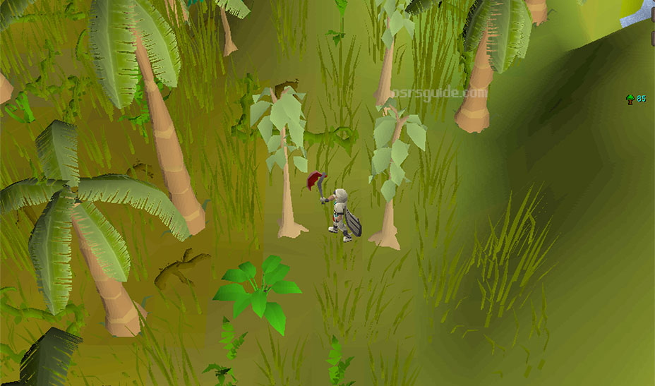 cuttng teak trees provides the best woodcutting experience from levels 45-62 and is relatively afk