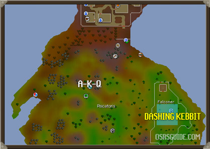 dashing kebbit location osrs for the hard western provinces diary