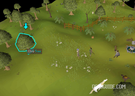 leprechuan tree location osrs for lost city quest