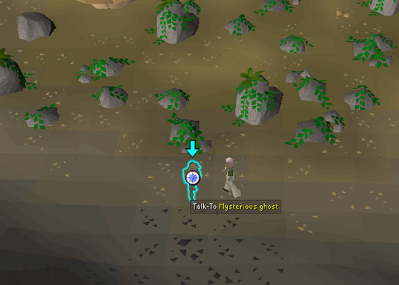 mysterious ghost in level 52 wilderness 