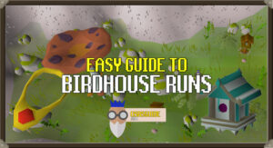 Read more about the article OSRS Birdhouse Run Guide | Passive Hunter Exp