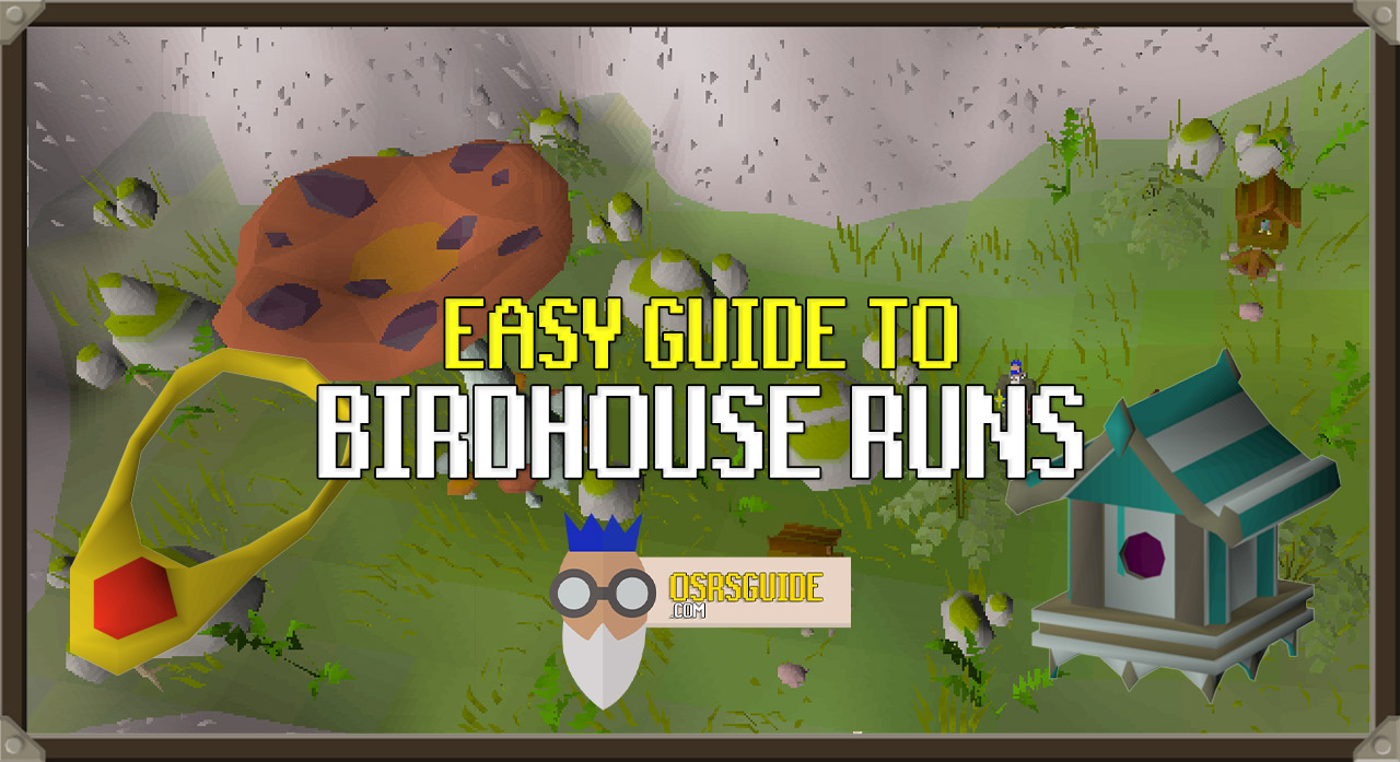 Read more about the article OSRS Birdhouse Run Guide | Passive Hunter Exp