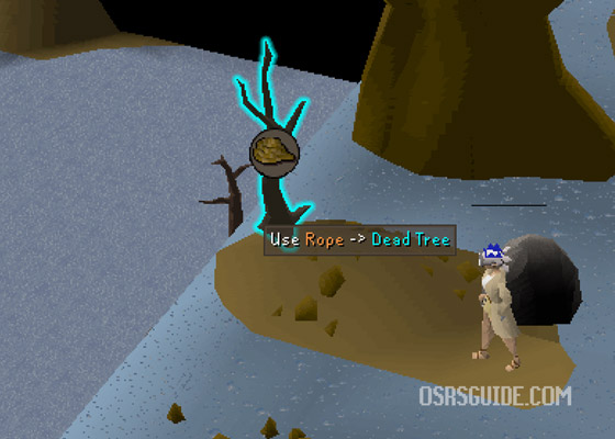 use rope on dead tree to get to the baxtorian waterfall dungeon