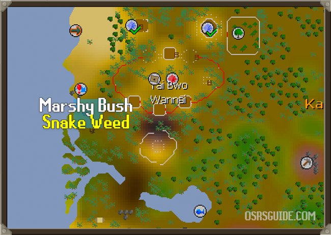 snake weed location osrs for legends quest
