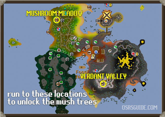 mushroom meadow and verdant valley mushtree locations and unlock for osrs