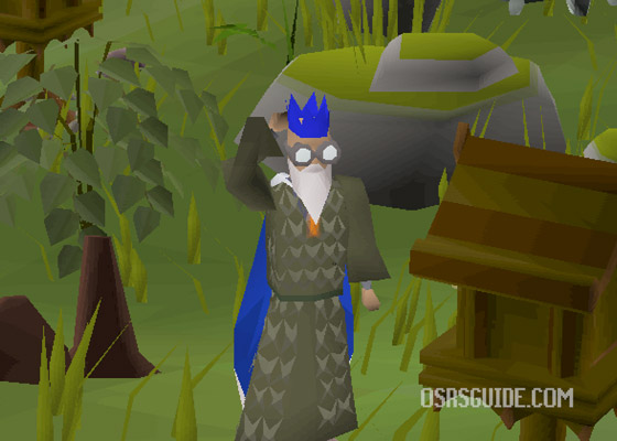 why you should do birdhouse runs in osrs