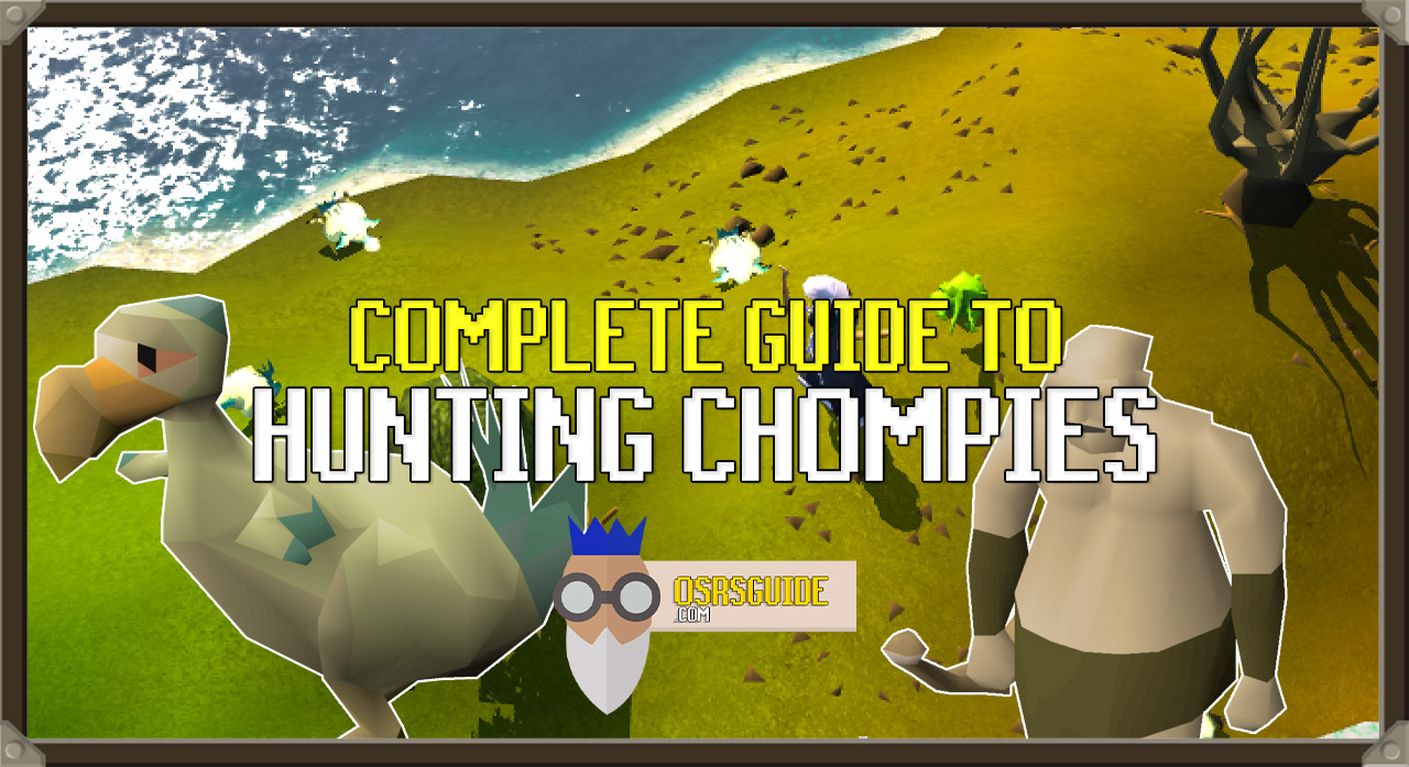 You are currently viewing OSRS Chompy Bird Hunting Guide | Get 300+ Kills Quickly