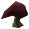 stinkhorn mushroom cox