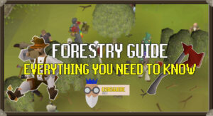 osrs forestry guide