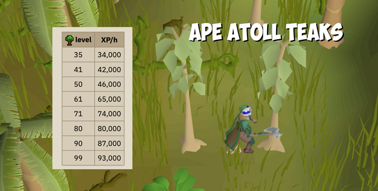 My character chopping teak trees in Ape Atoll + exp rates