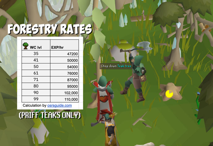 my character chopping teak trees in Prifddinas + exp rates