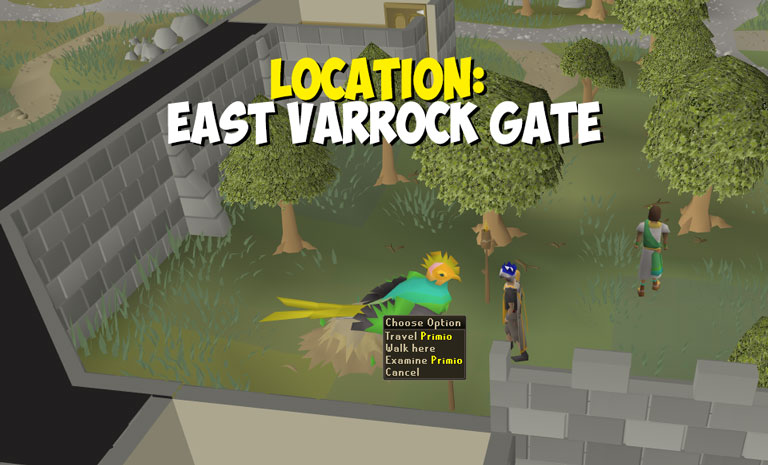 a quetzal bird outside varrock east gate takes you to varlamore